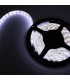 Cinta Led 3528 Frío 12V