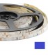Cinta Led 3528 Azul 12V