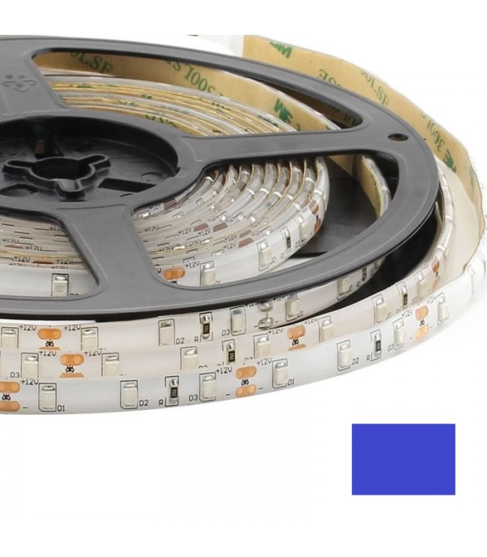 Cinta Led 3528 Azul 12V