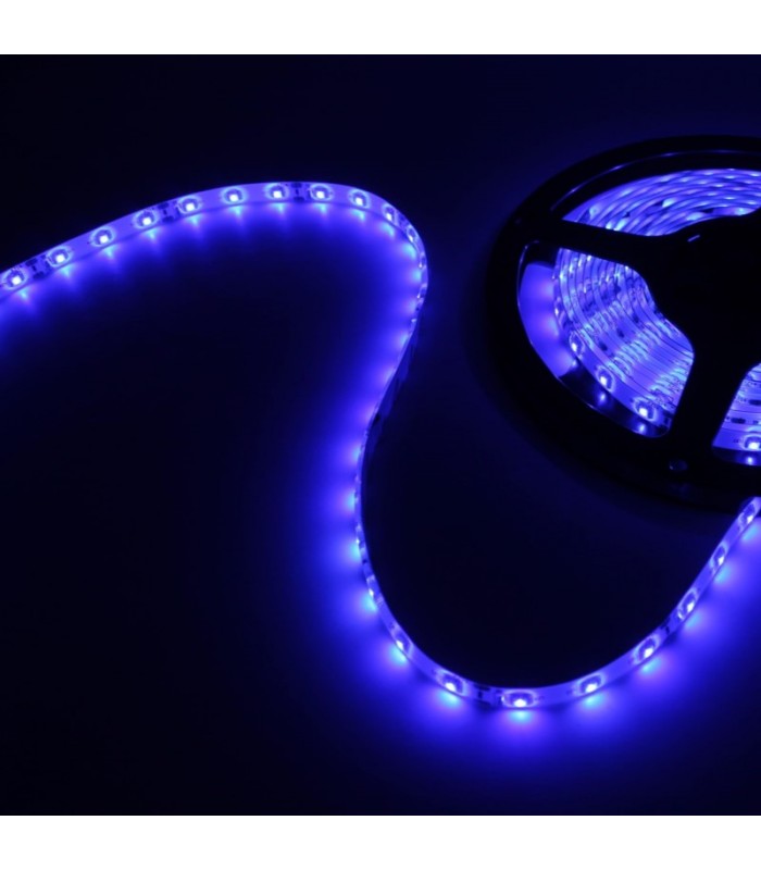 Cinta Led 3528 Azul 12V