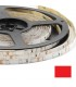 Cinta Led 3528 Rojo 12V