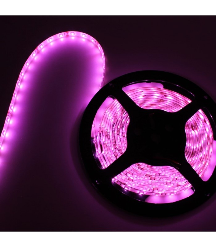 Cinta Led 3528 Rosa 12V