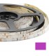 Cinta Led 3528 Rosa 12V