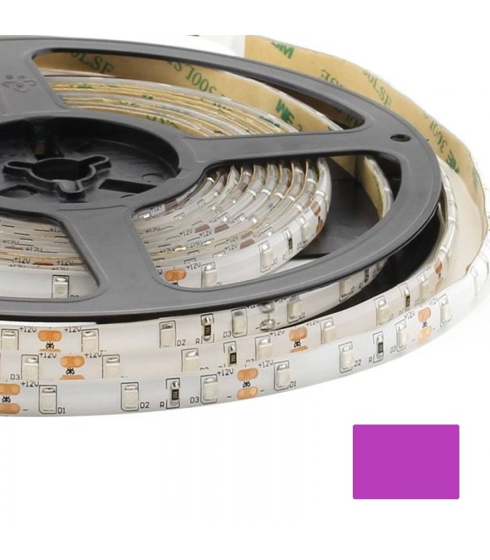 Cinta Led 3528 Rosa 12V