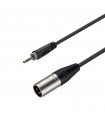 Cable XLR- AUX 6 metros