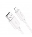 Cable Hoco USB-A a Lightning 2m