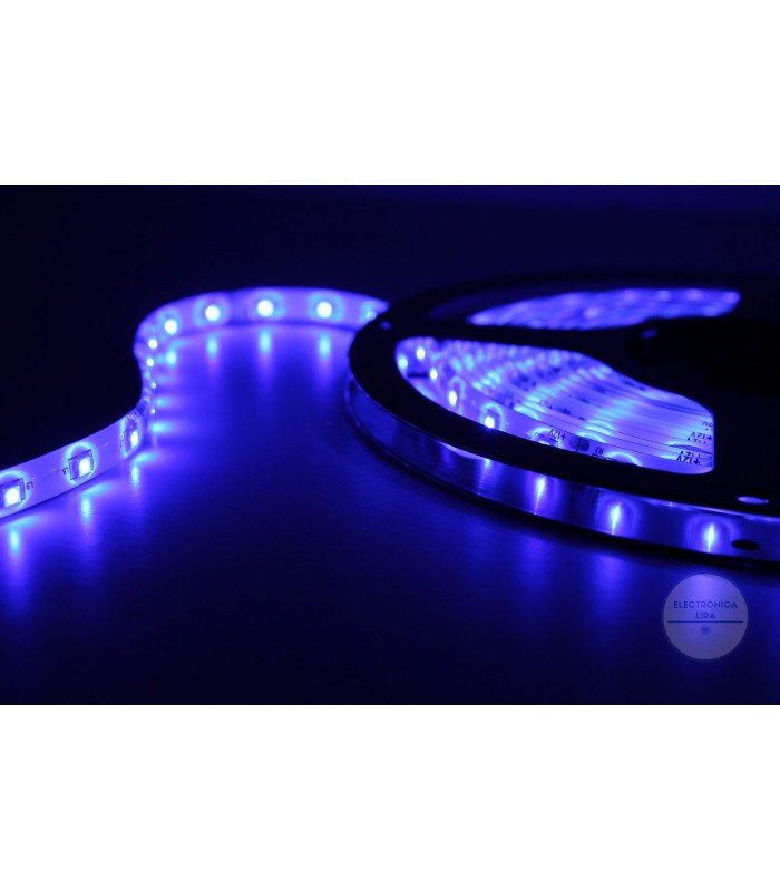 Cinta Led 5050 Azul 12V