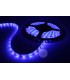 Cinta Led 5050 Azul 12V