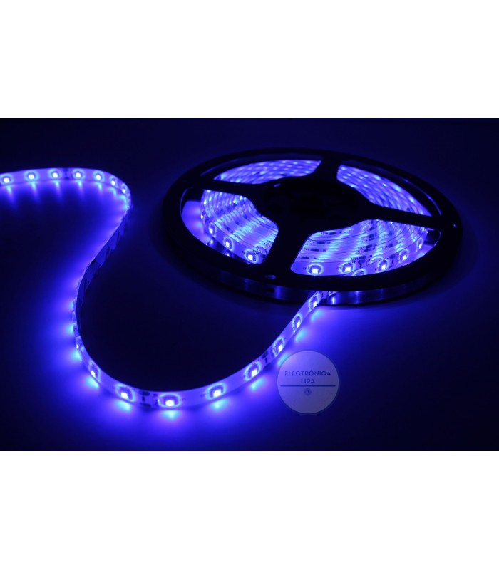 Cinta Led 5050 Azul 12V