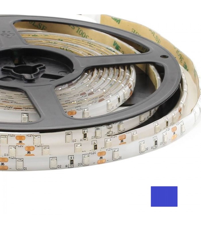 Cinta Led 5050 Azul 12V