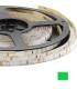 Cinta Led 5050 Verde 12V 5 metros