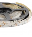 Cinta Led 5050 frío 12V 5 metros